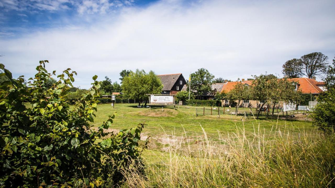 Welcome In - Oranjezon - 2 & 4 Personen